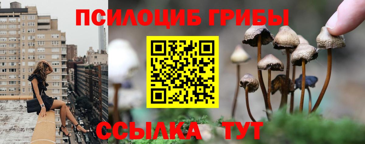 Керчь  Псилоцибиновые грибы Cubensis  Вход с VPN 